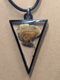 Turkey Tail Mushroom Specimen Necklace on Leather Cord