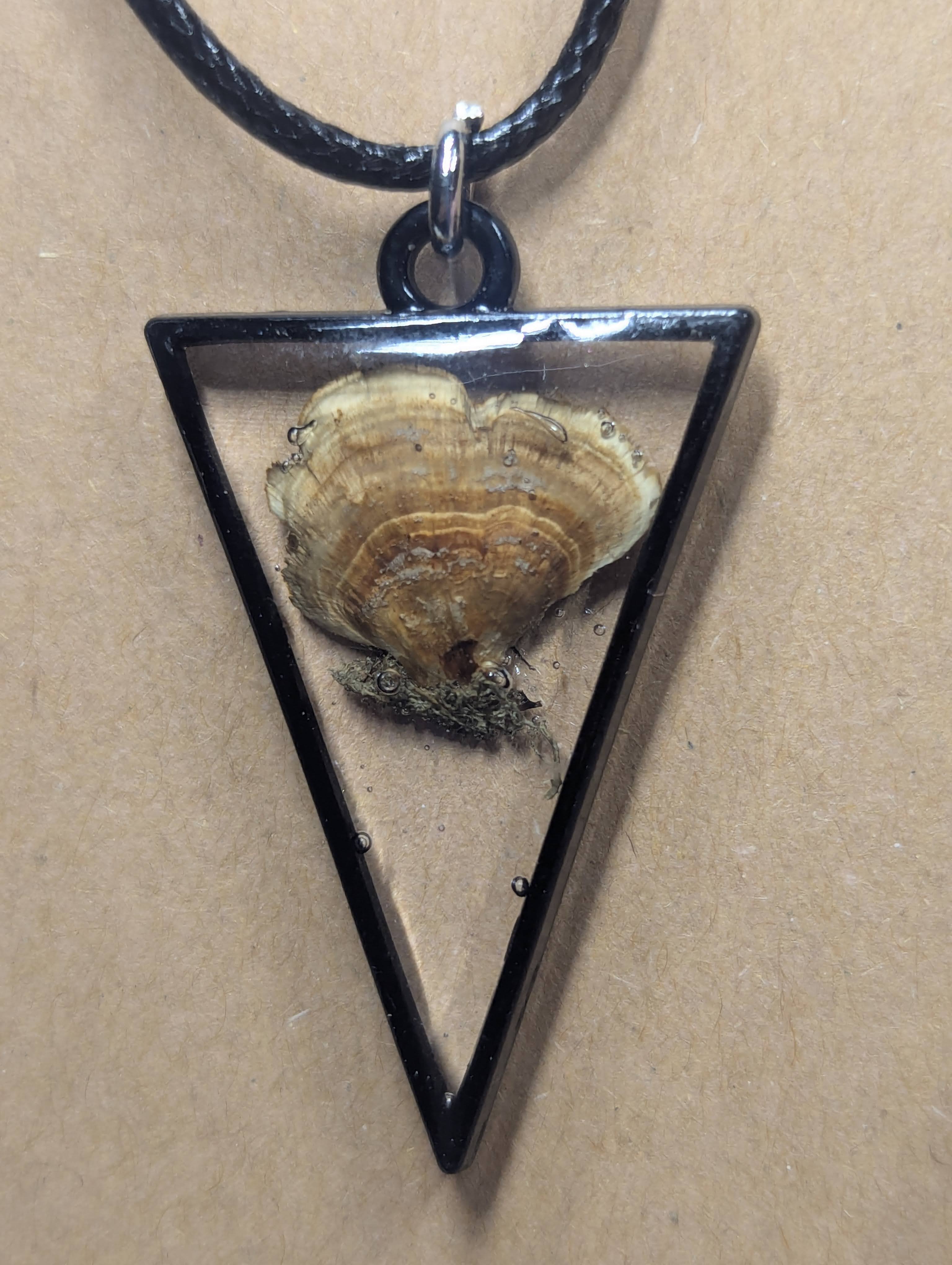 Turkey Tail Mushroom Specimen Necklace on Leather Cord